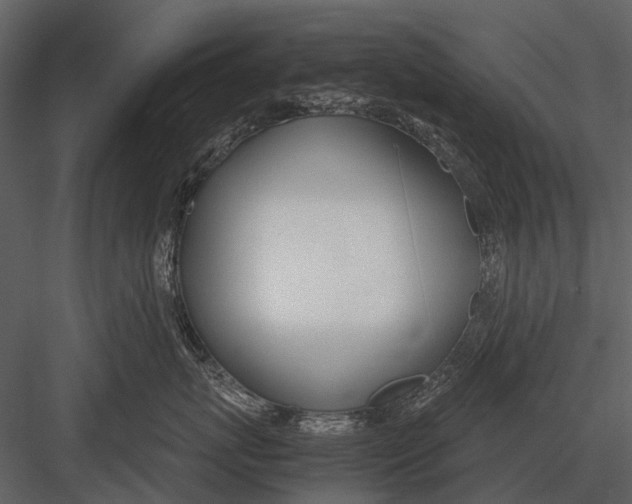 X0000083000767200702230126