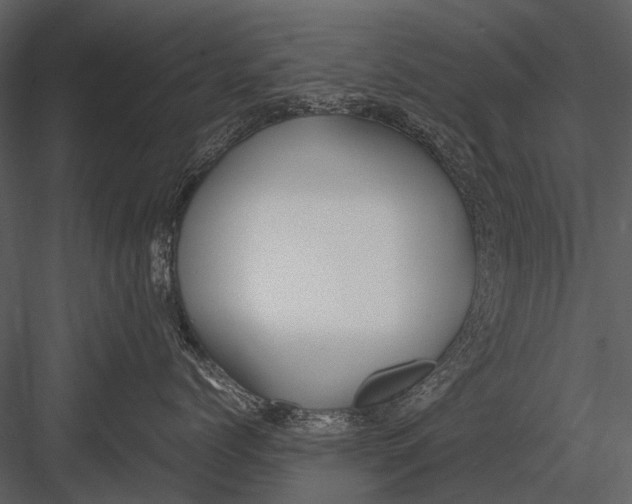 X0000083000768200702230126