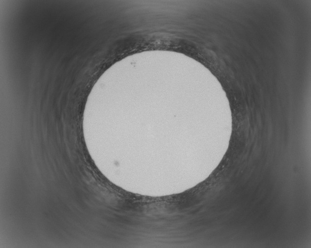 X0000083000769200702230126