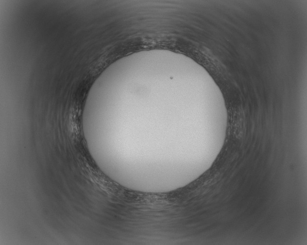 X0000083000770200702230126