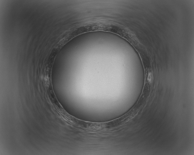 X0000083000771200702230126