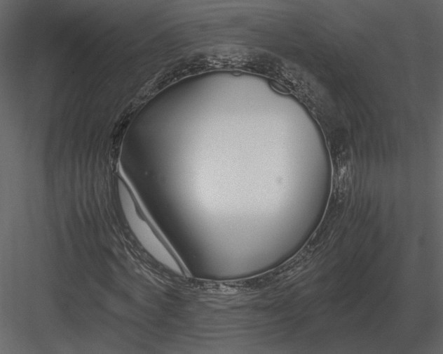 X0000083000772200702230126