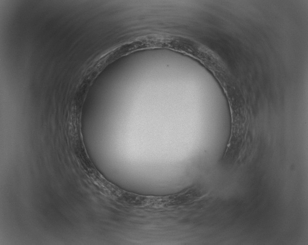 X0000083000773200702230126