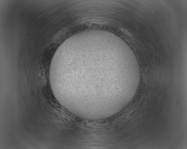 X0000083000774200702230126