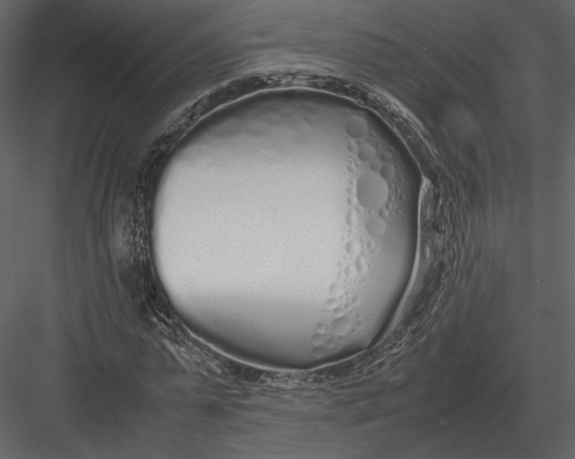 X0000083000775200702230126