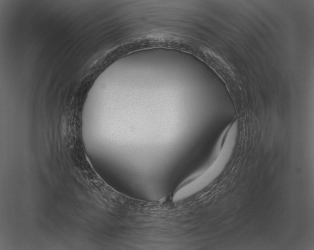 X0000083000776200702230126