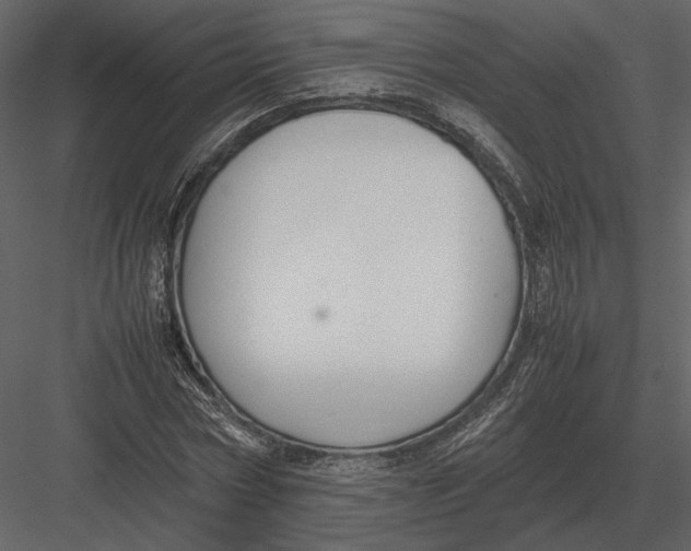 X0000083000778200702230125