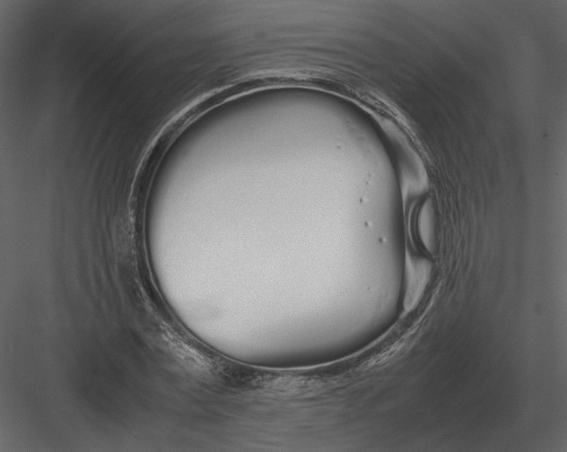 X0000083000779200702230125