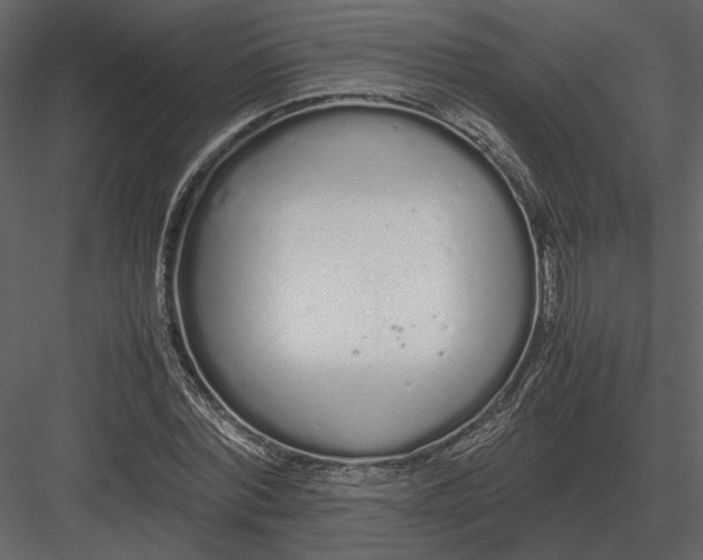 X0000083000780200702230125