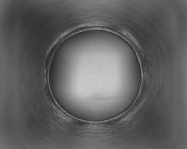 X0000083000781200702230125