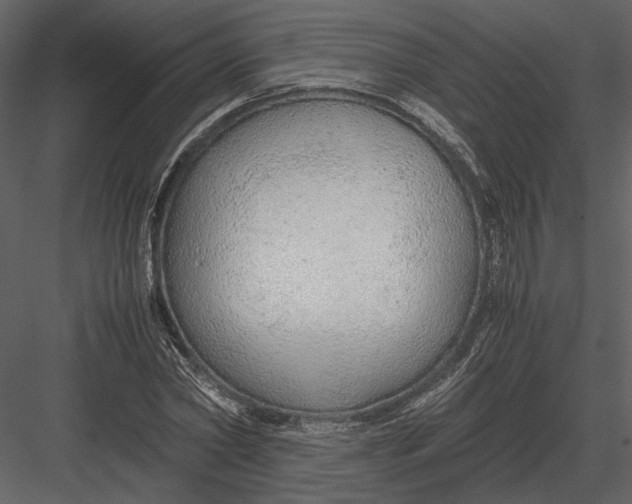 X0000083000782200702230125