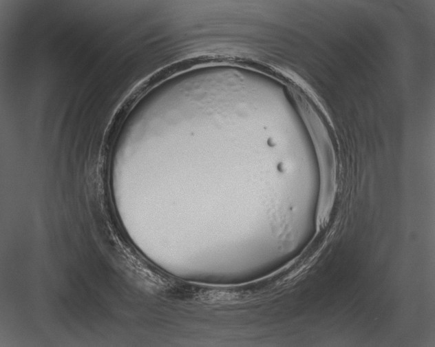 X0000083000783200702230125