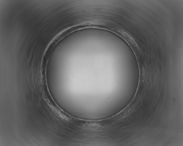 X0000083000784200702230125