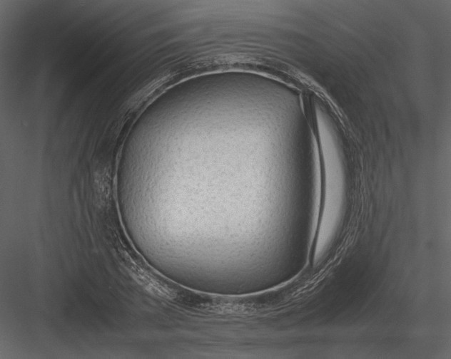 X0000083000785200702230125