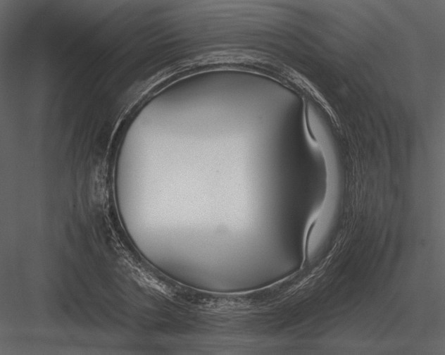 X0000083000786200702230125