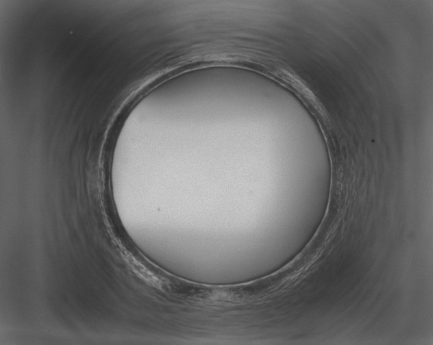 X0000083000787200702230125