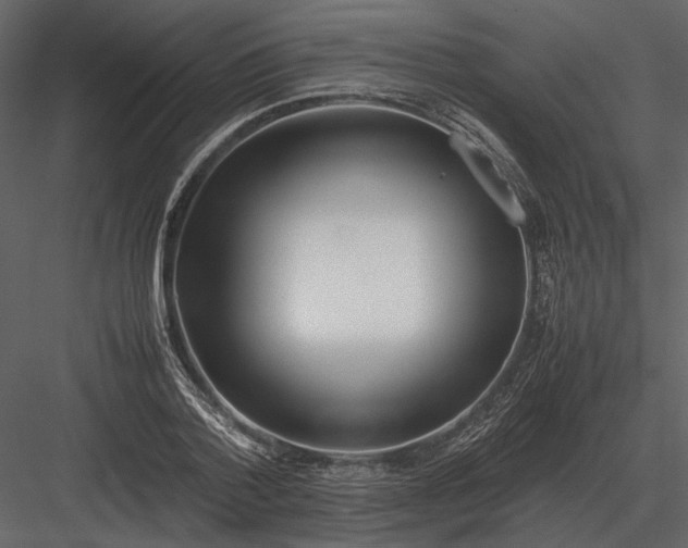 X0000083000788200702230125