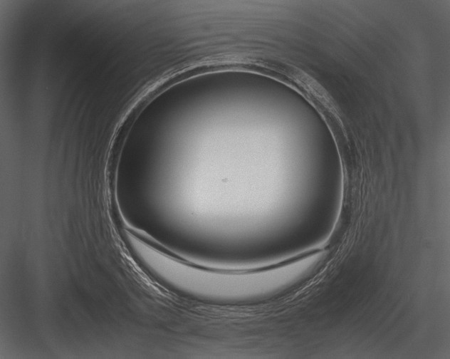 X0000083000789200702230125