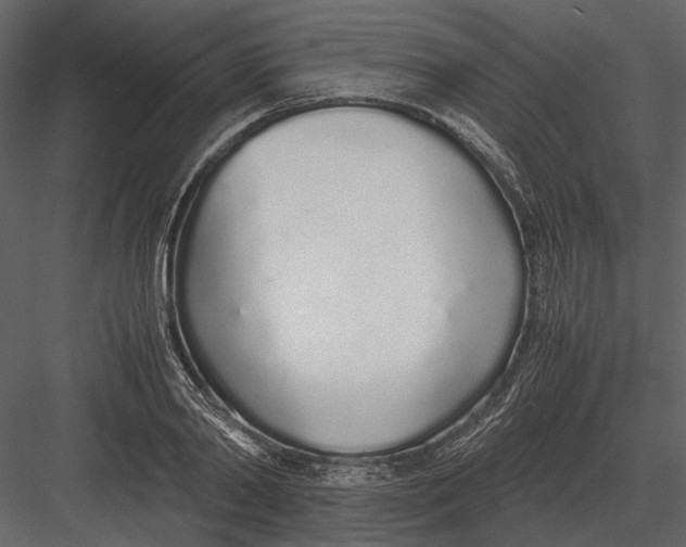 X0000083000790200702230125