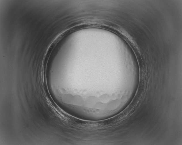 X0000083000791200702230125