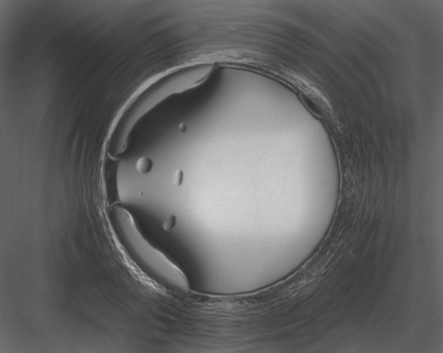 X0000083000792200702230125