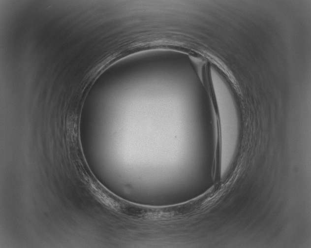 X0000083000793200702230125