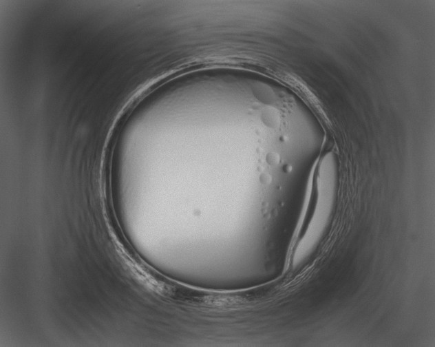 X0000083000795200702230125