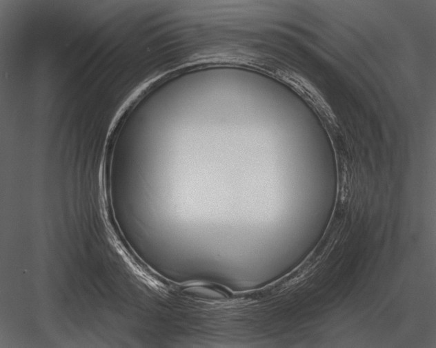 X0000083000796200702230125