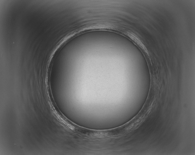 X0000083000797200702230125