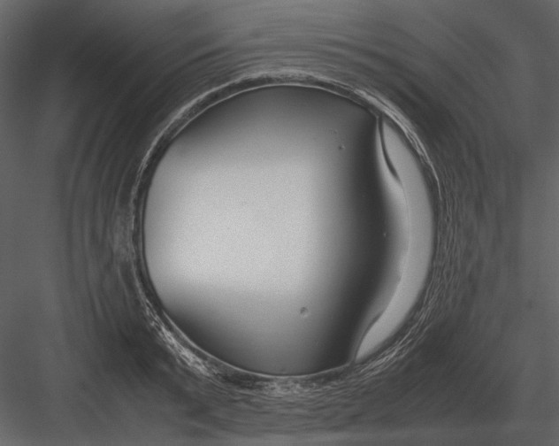 X0000083000799200702230125