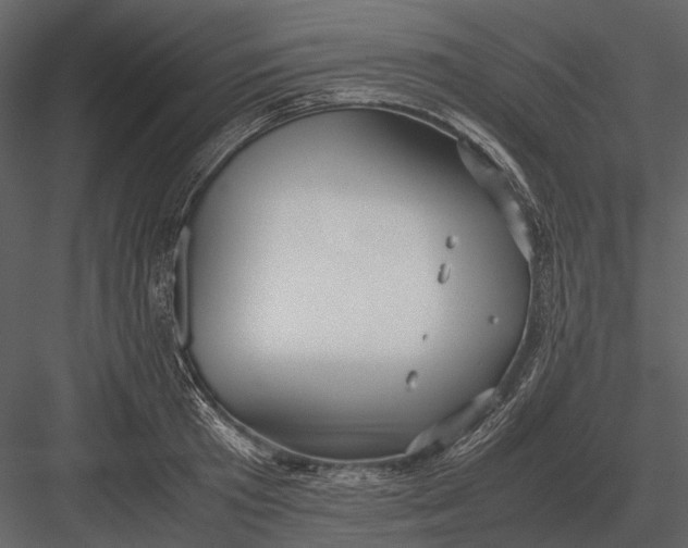 X0000083000801200702230125