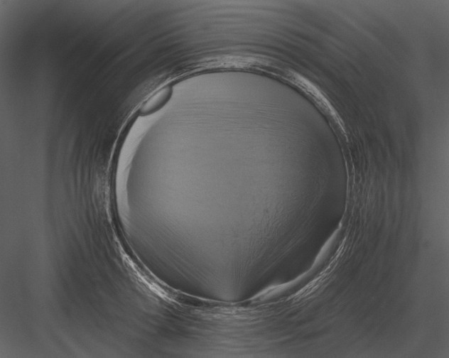 X0000083000802200702230125