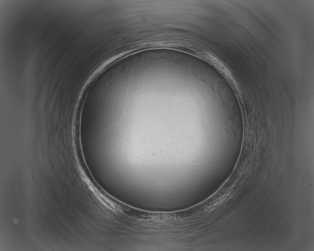 X0000083000803200702230125