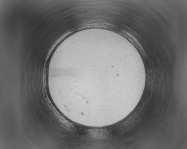 X0000083000804200702230125