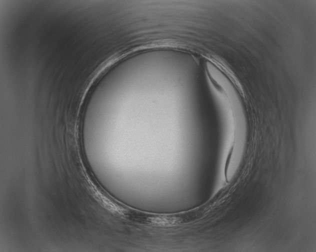 X0000083000805200702230125