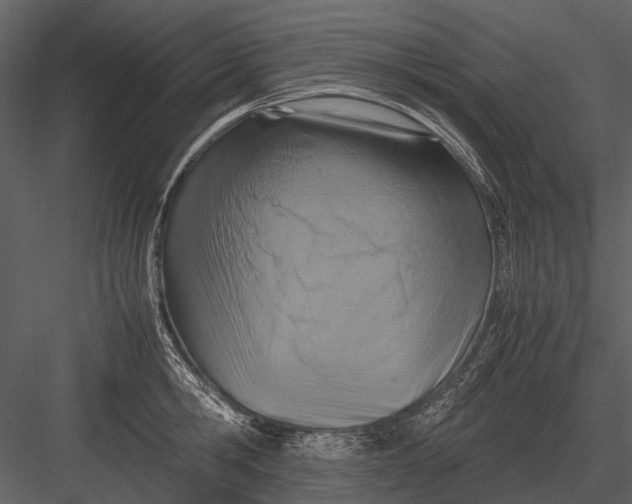 X0000083000806200702230125