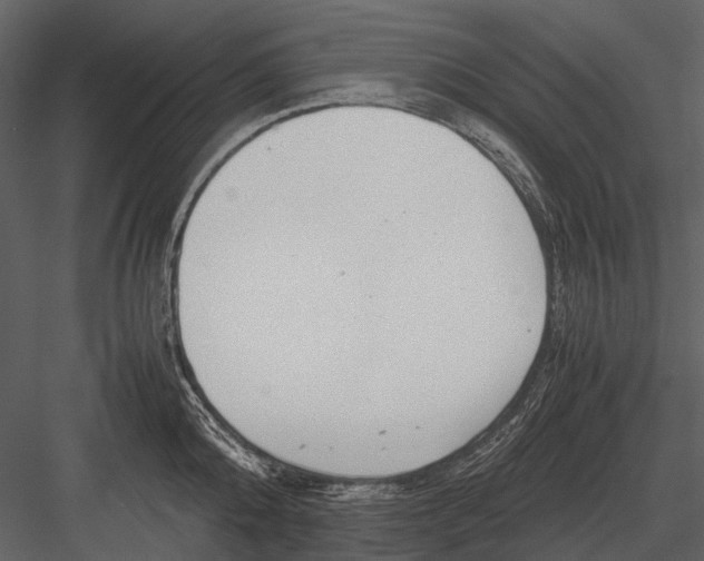 X0000083000808200702230125