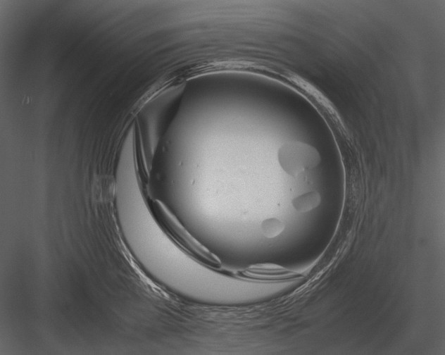 X0000083000809200702230125