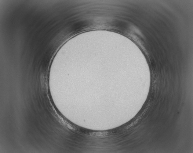 X0000083000810200702230125