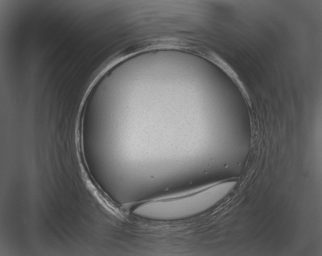 X0000083000811200702230125