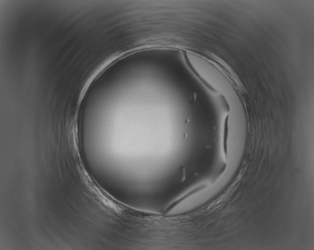 X0000083000812200702230125