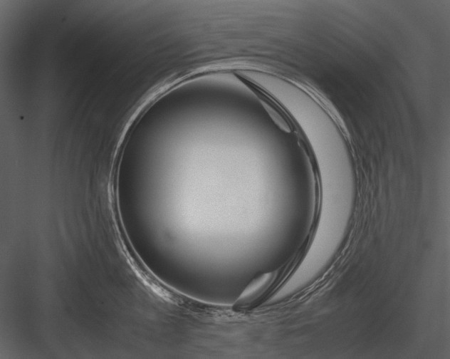 X0000083000813200702230125