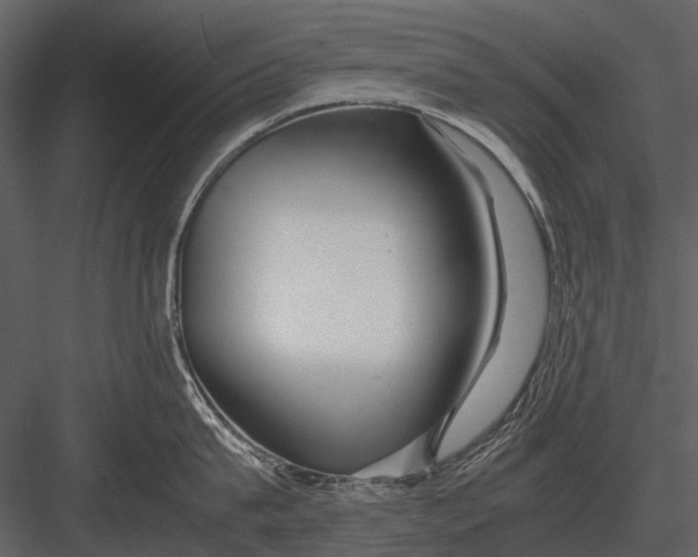 X0000083000815200702230125