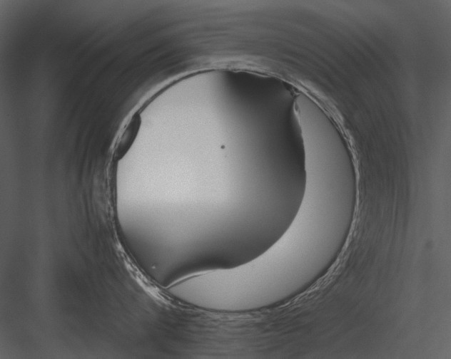 X0000083000816200702230125