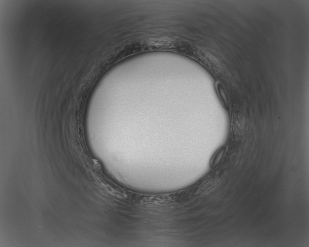 X0000083000817200702230124