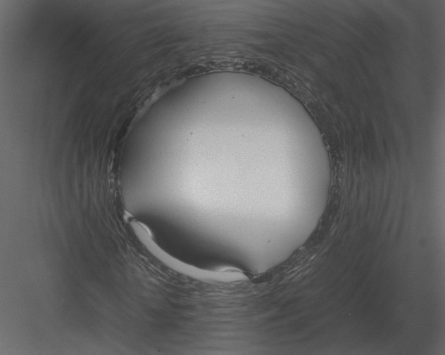 X0000083000818200702230124