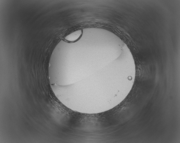 X0000083000820200702230124