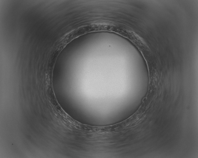 X0000083000821200702230124