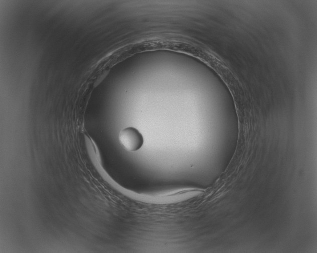 X0000083000822200702230124