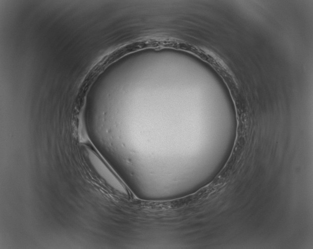 X0000083000823200702230124